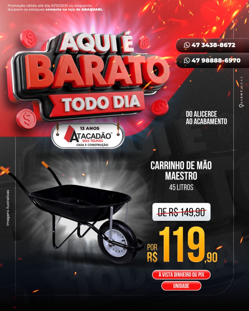 CARRINHO DE MÃO MAESTRO